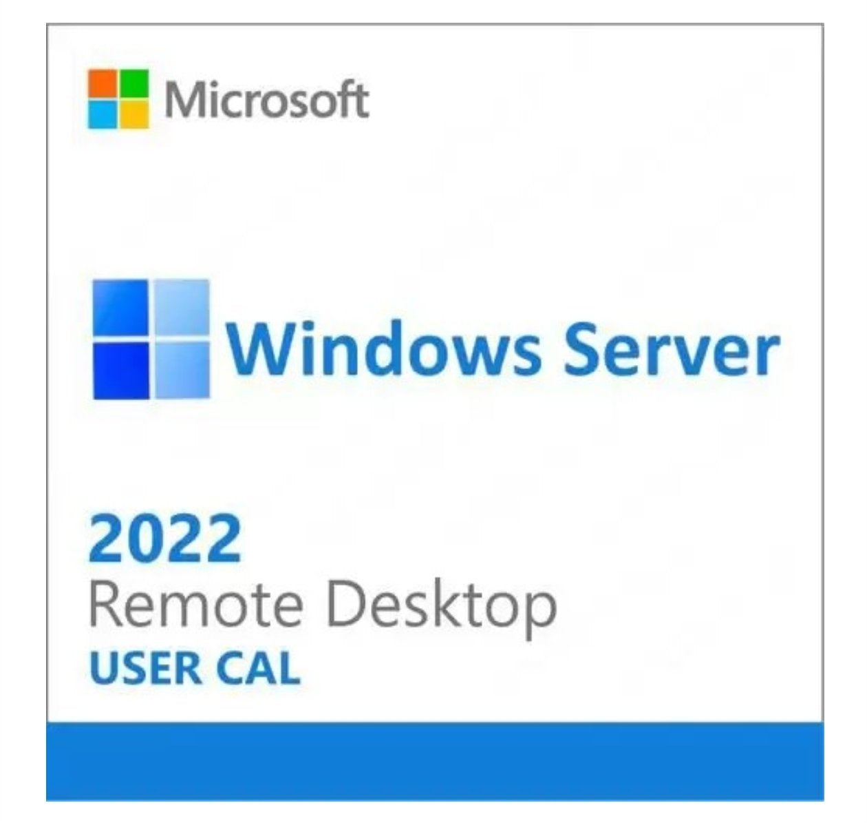 REMOTE DESKTOP SERVICE 2022 - TS CAL
