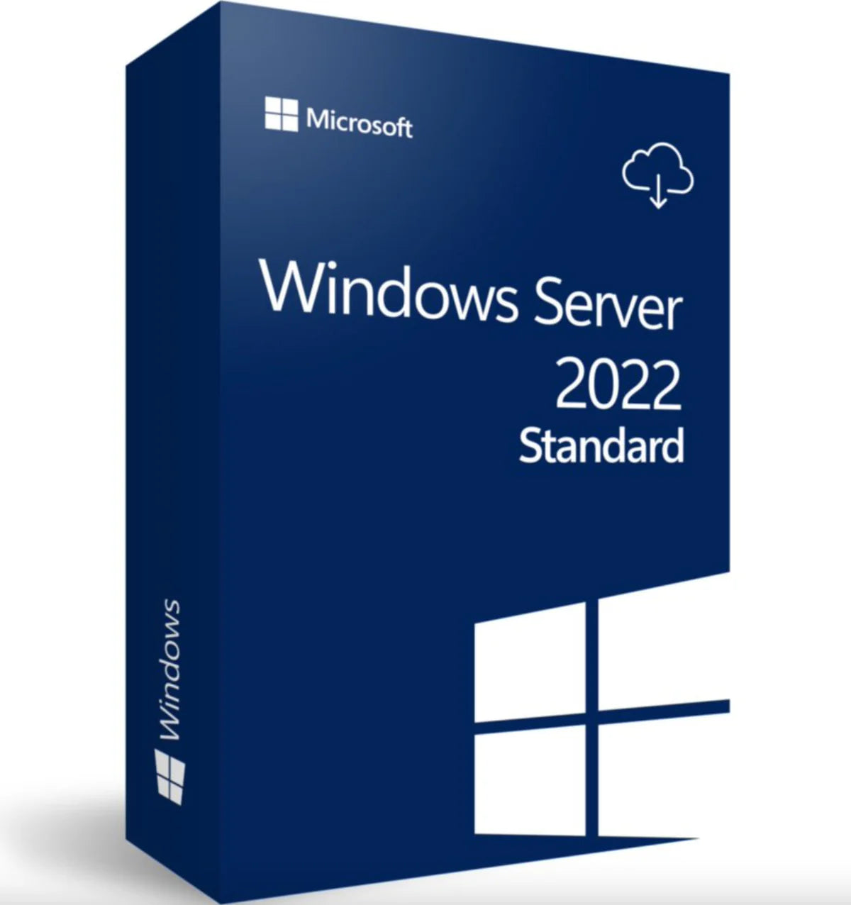 WINDOWS SERVER 2022 STANDARD 64 BITS
