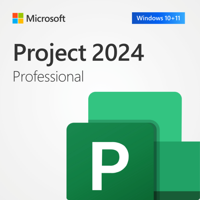 PROJECT PRO 2024 - ESD