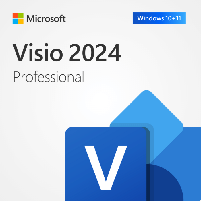 VISIO PRO 2024 - ESD